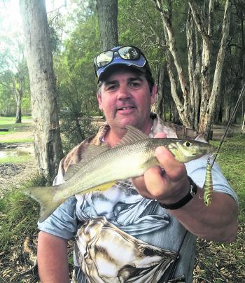 A nice Lake Cathie whiting caught walking the banks.