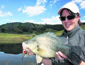 Note the shallow grassy banks in the background. Using a light lipless crankbait like the #2 Prism Murrin with a slow roll was the undoing of this Burrinjuck yella.