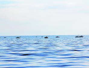 When snapper season begins, the Outer Artificial Reef can be standing room only.