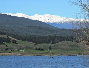 The picturesque Khancoban Pondage is nestled firmly against the bottom on the NSW Snowy mountains. As Khancoban is just a stones throw across the border, make sure you buy a NSW fishing licence before you head off. 