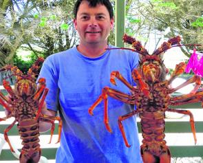 The author and a couple of season opening southern rock lobster.