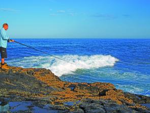 Flicking lures or bait from the local headlands usually produces a mix of bream and tailor. On some of the deeper headlands, kingfish and cobia are also on the cards. 