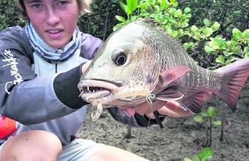 Duffy with a beautiful land-based mangrove jack taken on an Atomic 3” Prong.