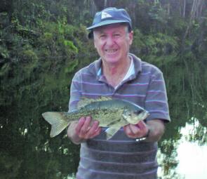 Bass are very active in North Pine and Kurwongbah, with fishing being landed around the 40cm mark.