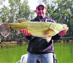 This is what winter fishing is all about on the Murray. Fit and healthy fish that can make your day.