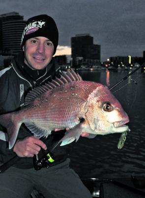 The lower to middle reaches of both the Yarra and Maribyrnong Rivers are home to seasonal populations of pinkie snapper. 