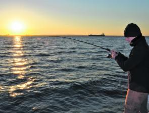 First and last light is most definitely the prime time for pinkies on the inner reefs, though fishing through tide changes also increases the likelihood of finding some action. 