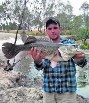 Jay Cleary with a cod caught in the Broken River.