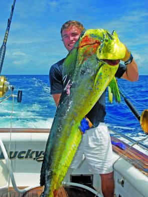 Pay careful attention for floating objects as mahi mahi love hanging around any logs, floats or trap buoys.