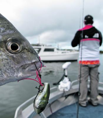 It took every trick in the book to get bream this day. The author’s mate was hooking heaps while he was catching none. Putting stinger hooks on a micro vibe was the winning move. Or was it a better technique?