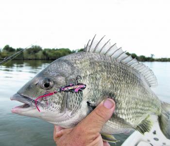 The author has watched Mick Dee pull in dozens of bream recently while he tricks just a few. Brett thought it was all about the lures Mick buys, but then Mick tied on his homemade blades and started getting twice as many. Please explain!