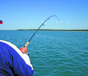 Hope your January is filled with plenty of rod bending like this!