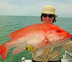 Occasional snapper might be mixed in with staple reef reds like this nannygai.