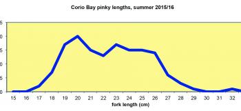 Angler catch data show the progress of pinkies spawned in 2013 and 2014 towards the summer inshore fishery in Corio Bay.