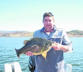 David Airies with a Burrendong yellowbelly.