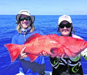 Alicia and Jack were stoked with this oversized coral trout.