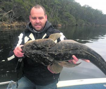 Monster flathead can be expected in both Narooma and Tuross Lake systems.