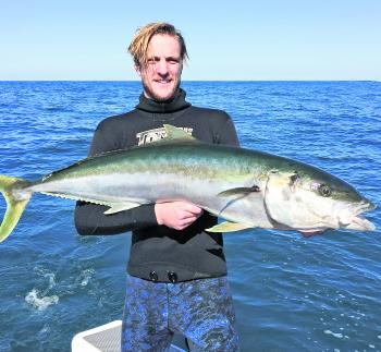 The islands have been housing large schools of kingfish. Simon Voss got amongst it and picked out a decent one.