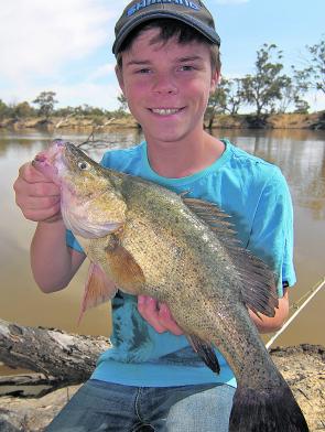 Jock Mackenzie with a typical bait-caught golden perch along the Murray River. Good numbers of these fish are biting between Swan Hill and Mildura.