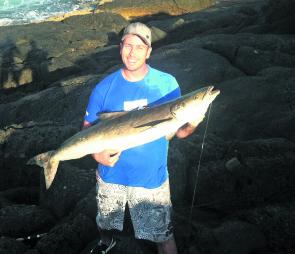 Jumbo with a nice cobia taken from Hungry Headland.