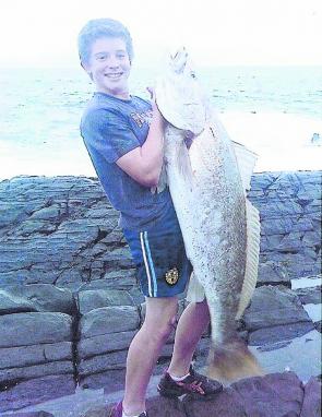 Another solid Macleay mulloway taken from the stones.