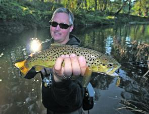 Mick Hurren with a lovely Rose River brown trout caught on a Rooster Tail spinner. The small streams are where most of the fishing action is during October.