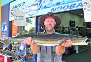 Matt Winter from Carters Ridge won the $50 Davo's Fish of the Week prize with the 87cm cobia he caught near Munna Point.