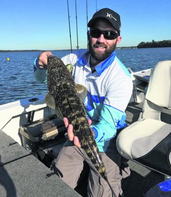 Trent Goddard sent in this pic of a lovely Lake Mac flathead. It’s one of many he’s come across lately, which is a great sign for the summer ahead.