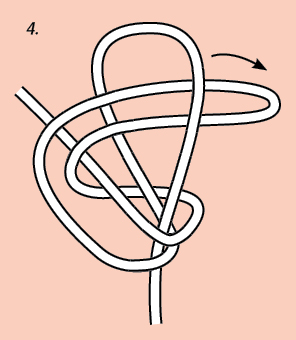 Hold the tag end in place and pass the second loop through the first loop, checking that the loop crosses over and traps the tag end. (If you are tying a large loop, such as in rope or cordage, you can reach through the first loop and grab the second loop