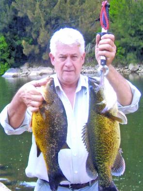 One for the pot and one for release. Most Murray cod caught these days are sensibly released to grow bigger and provide sport for other anglers.