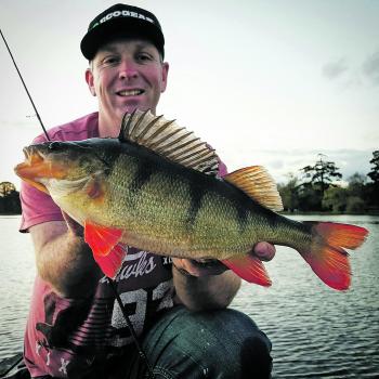 Ben Young bagged this lovely redfin casting a Nories B74 hardbodied lure while drifting around Lake Wendouree.