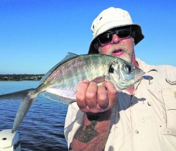 Silver trevally have been hitting a variety of lures in the estuaries.