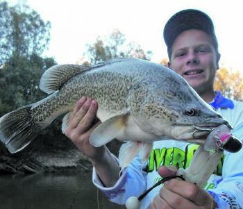 A fine example of what the Goulburn River offers.