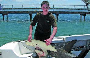 Jake Walsh caught this massive hammerhead shark offshore from McLoughlins beach, measuring 3m.