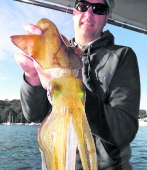 There are fewer squid now but they’re big. Ben with a large Pittwater southern calamari