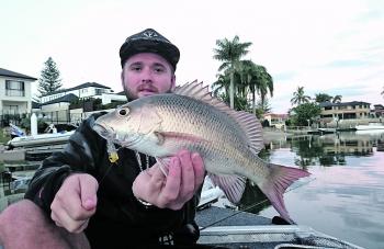 Surface fishing the canals can be very productive for bream, and surprise by-catches are always welcomed.