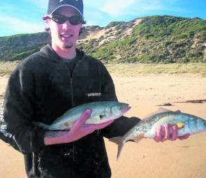 The author with a nice pair of salmon caught casting lures from the sand