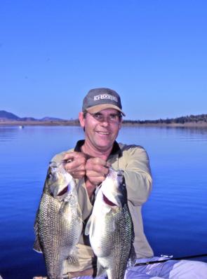Bass like these taken by the author are great opponents on surface fly gear. 