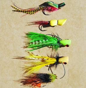 Excellent surface flies for Somerset's bass. From top to bottom are Gartside Gurgler, Grabhams Gurgler, a pair of store bought poppers plus one of Mr Kampe's roughies. 