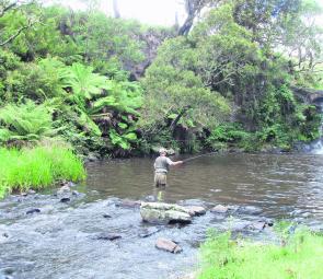 Gorge country is trout country in the New England region. 