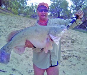 Micheal Molinaro with a sensational pre season opening Murray cod (released of course) which weighed 20kg. It took a liking to Michael's trolled Stumpjumper lure.