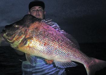 It’s possible to catch snapper on plastics at night. This big fish hit the author’s soft plastic on the last cast before heading home.