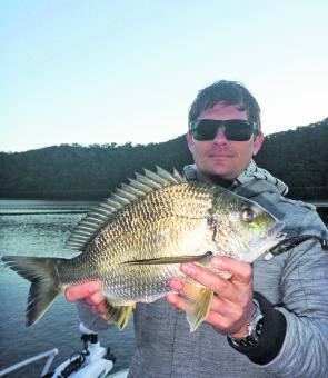Big blue-nose bream like this 40cm+ fish Jarrod fooled whilst chasing mulloway will stretch your light gear to the limits.