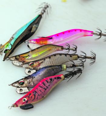 Modern, prawn-style jigs – both cloth-covered and uncovered – have revolutionised squidding. Different colours definitely have their day, and even their hour.