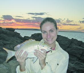 Susanna Jemma caught this sweetlip off the rocks at the Noosa National Park.