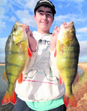 Dane Geran with a couple of thumping redfin. Redfin numbers have exploded to the point they can almost be caught in any old puddle.