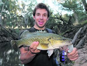 Joey Barca with a lovely Murray cod caught in the King River near Wangaratta. The cod fishing will be slow during May but persistent anglers will still pick up the odd fish. Watch the barometer and try fishing when it is high, preferably over 1020hpa. 