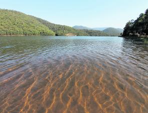 Lake William Hovell is a beautiful sub-alpine lake on the King River with a decent concrete boat ramp. There is a 10 horsepower (10 knot) limit on the lake. Try chasing redfin during the day and trout of an evening. Make sure you pack plenty of warm cloth