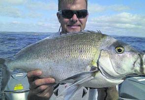 Top Cat Charters have been finding an abundance of big mowies lately, along with similar-sized snapper.