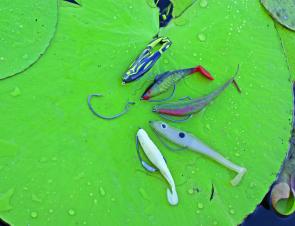 The most popular five plastics rigged up off weighted and un-weighted worm hooks.
